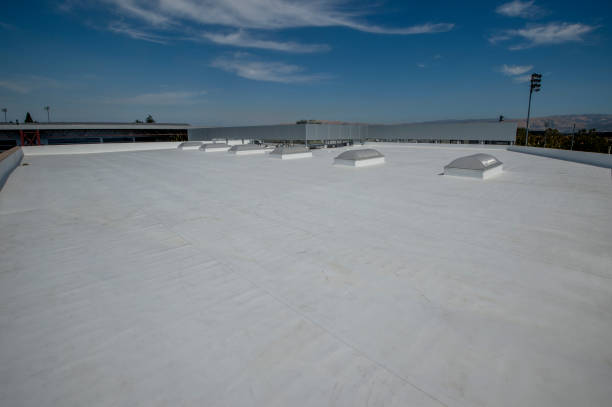 Best Roof Ventilation Installation  in Walnut, IL
