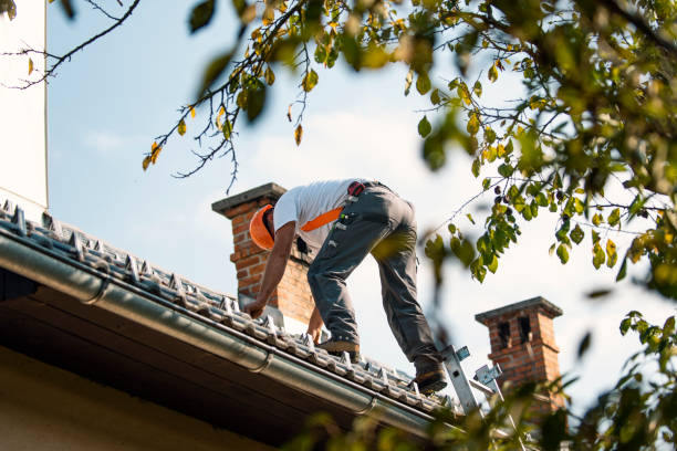 Best Cold Roofs  in Walnut, IL