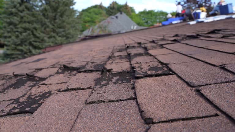 Best Roof Moss and Algae Removal  in Walnut, IL