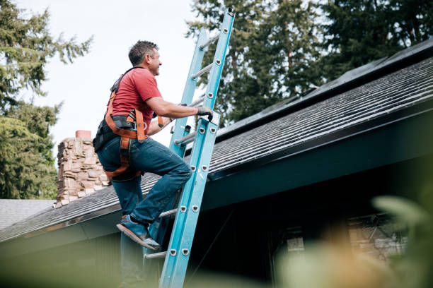 Best Roof Leak Repair  in Walnut, IL