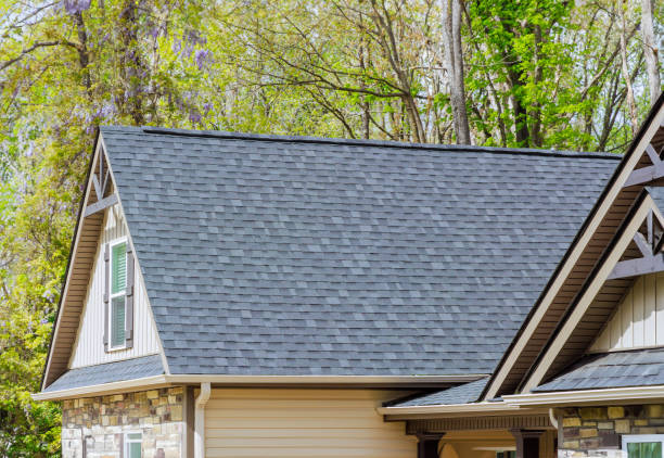 Best Steel Roofing  in Walnut, IL