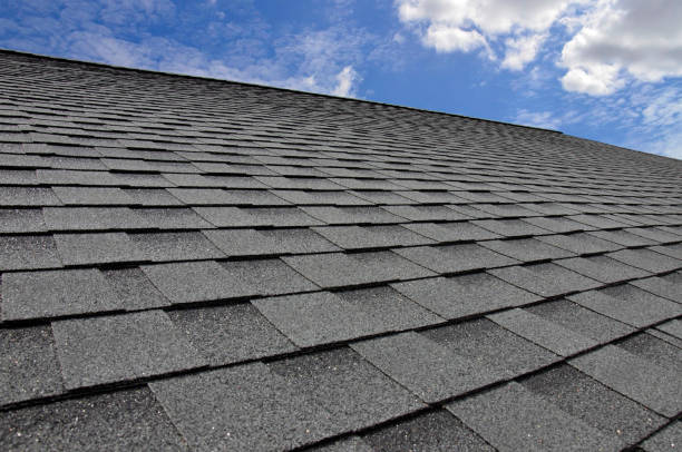 Best Skylight Installation and Repair  in Walnut, IL
